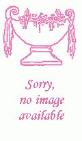 AWAITING IMAGE